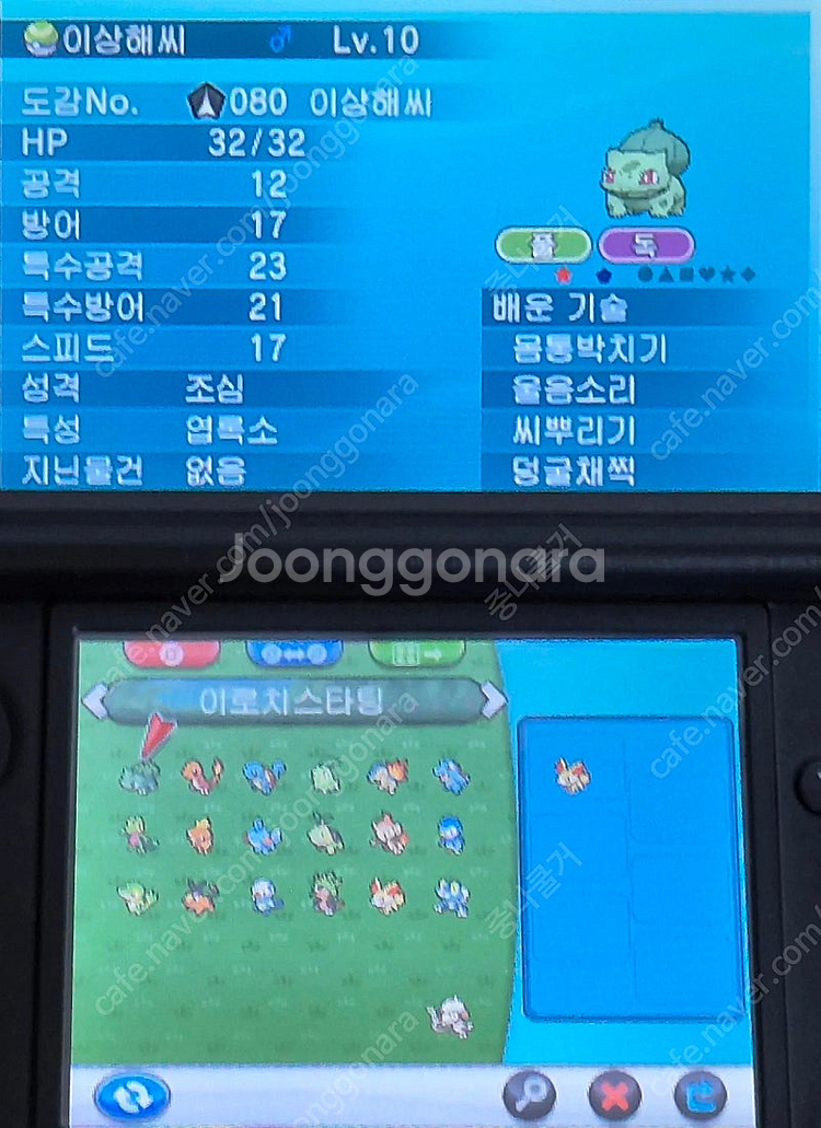 [배포 포켓몬 & 이로치 포켓몬] 포켓몬스터 Y 닌텐도...--5