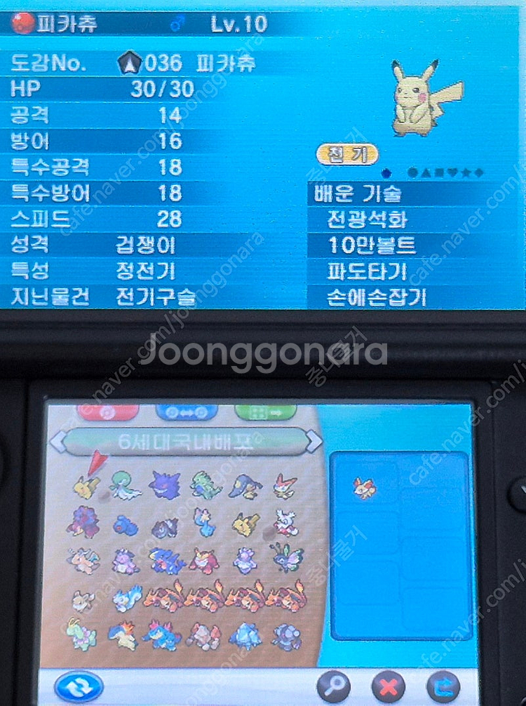 [배포 포켓몬 & 이로치 포켓몬] 포켓몬스터 Y 닌텐도...--7