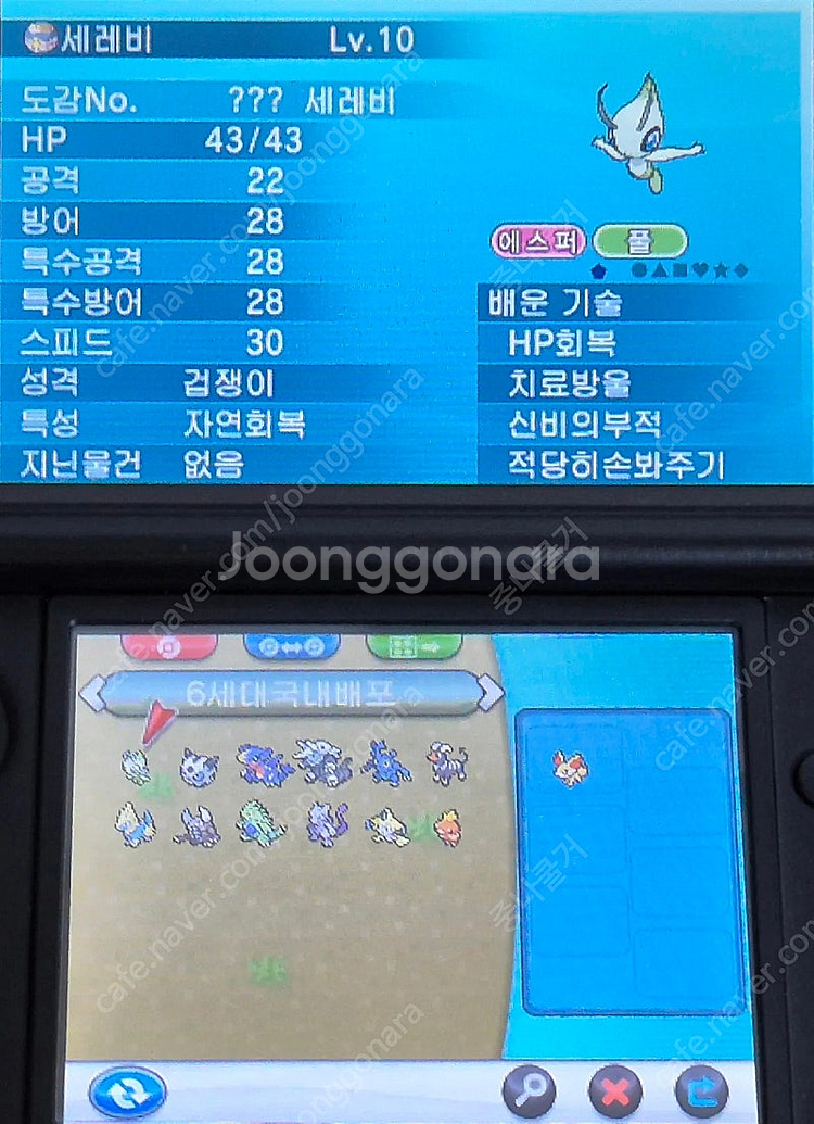 [배포 포켓몬 & 이로치 포켓몬] 포켓몬스터 Y 닌텐도...--8
