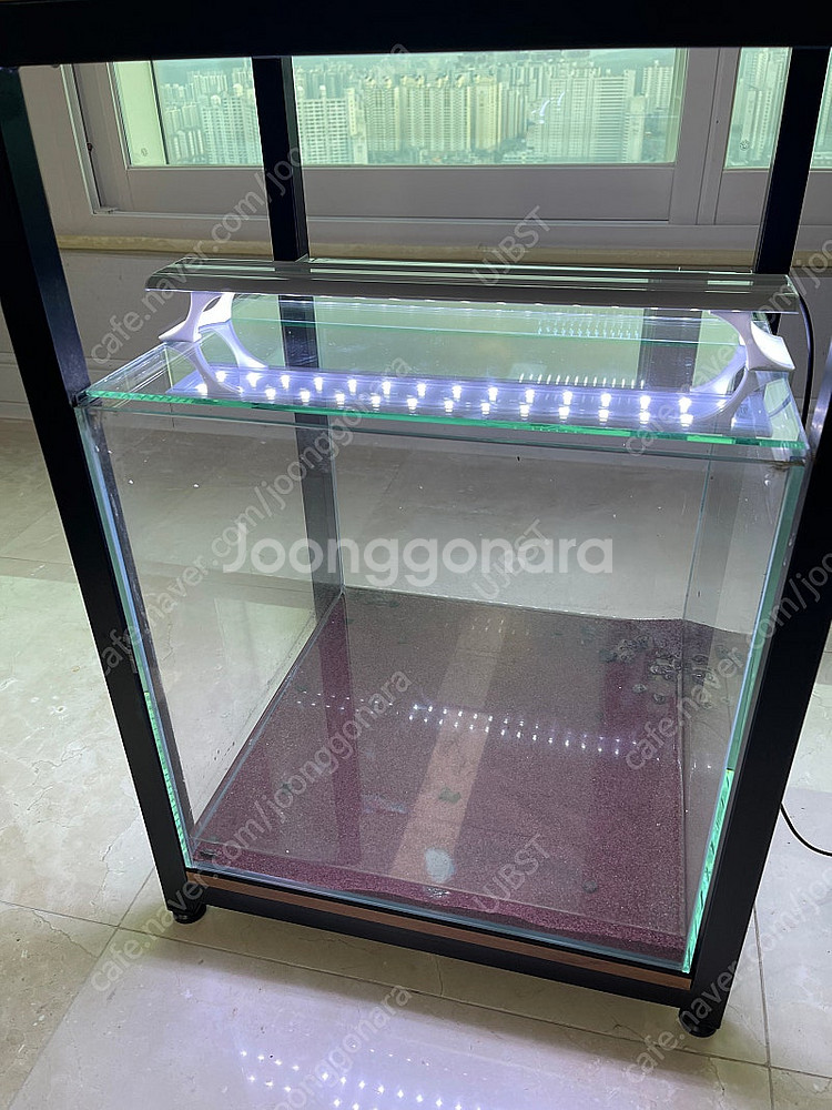(경기 북부) 프리미엄 45큐브 올디아망 수조 6T 어...--3