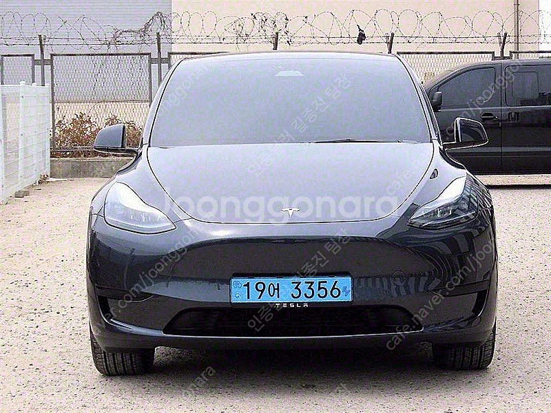 테슬라 모델 Y 중고차 모델 Y 회색 2025년식 3,...--0