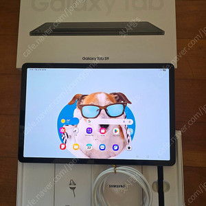 (개인판매) 갤럭시탭s9 128g 와이파이 (제조 2025년 2월) 태블릿PC
