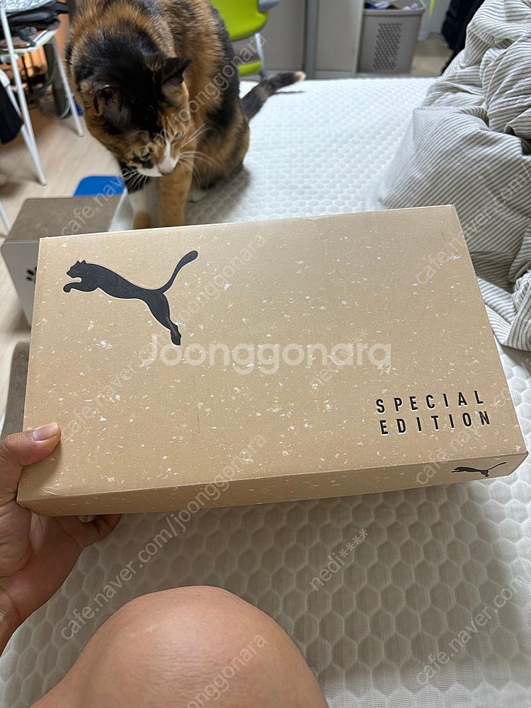 푸마 퓨처7 BNA mg 250 사이즈--2
