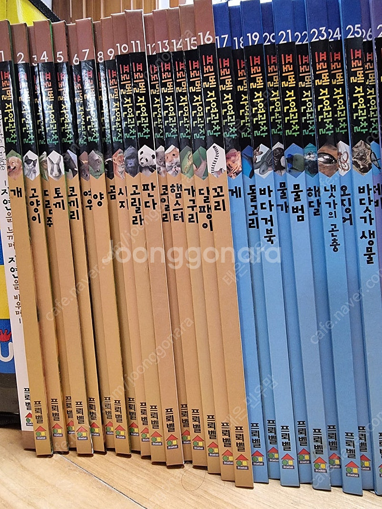 프뢰벨 자연관찰 80권--1