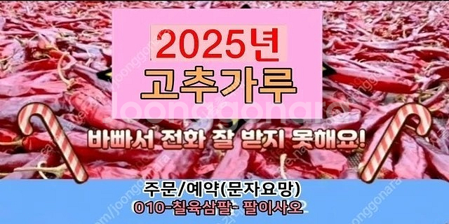 2025년 햇 건고추 고추가루 고춧가루 선주문예약으로 ...--0