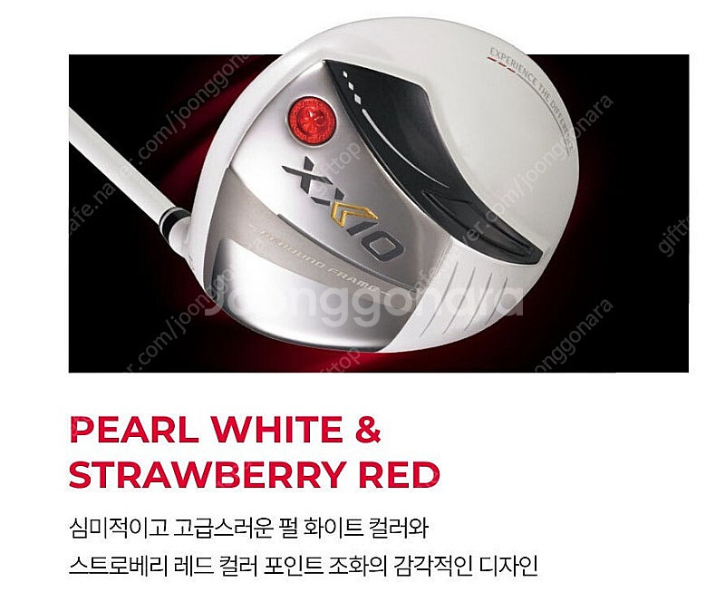 (여성용) 24년 젝시오13 화이트 에디션 클럽풀세트 ...--3