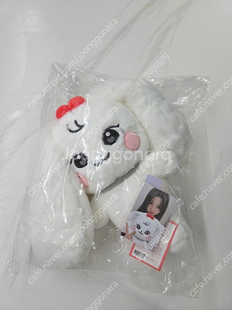 아이브 스쿨 팝업_체리인형(장원영)30cm+포토카드--0