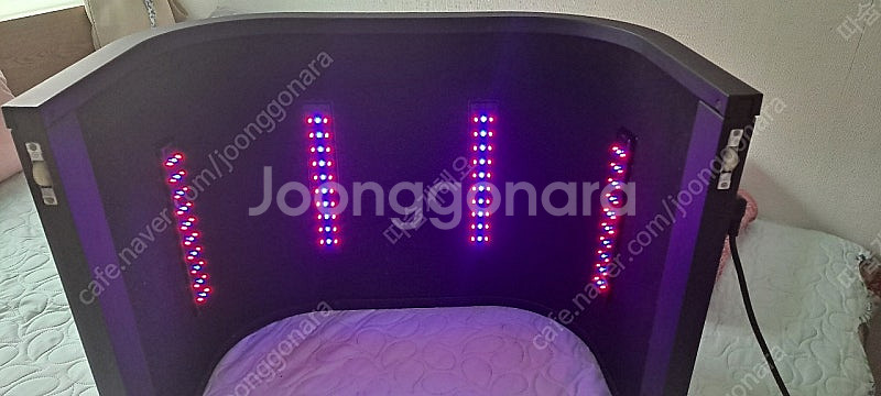 비겐의료기 내꺼 빛폭탄 온열돔--0