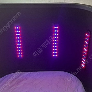 비겐의료기 내꺼 빛폭탄 온열돔