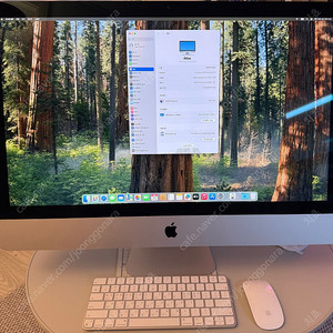 Apple iMac Retina 5K 2020 27인치