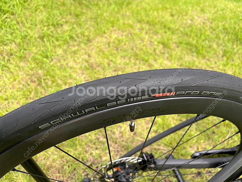 스캇 2025 NEW 애딕트 RC 프로--2