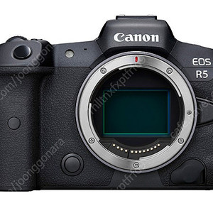 캐논 eos r5 rf 70-200 f4 형아계륵 판매합니다.