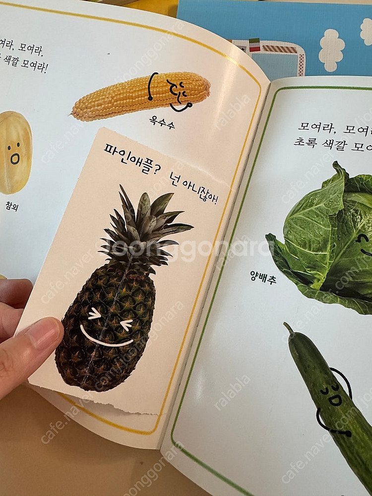 호비 스텝3 25-30개월 책, 장난감, 엄마책, cd...--4