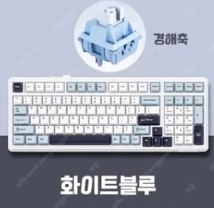독거미 AURA F99 경해축 화이트블루 팝니다.--0