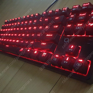 COX 기계식 키보드 CK250 청축