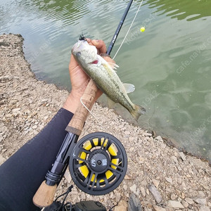 플라이낚시대릴 용품 팝니다