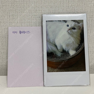 크림히어로즈 크집사 폴라로이드(라라)