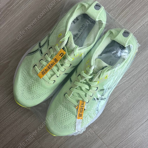 아식스 카야노31 260