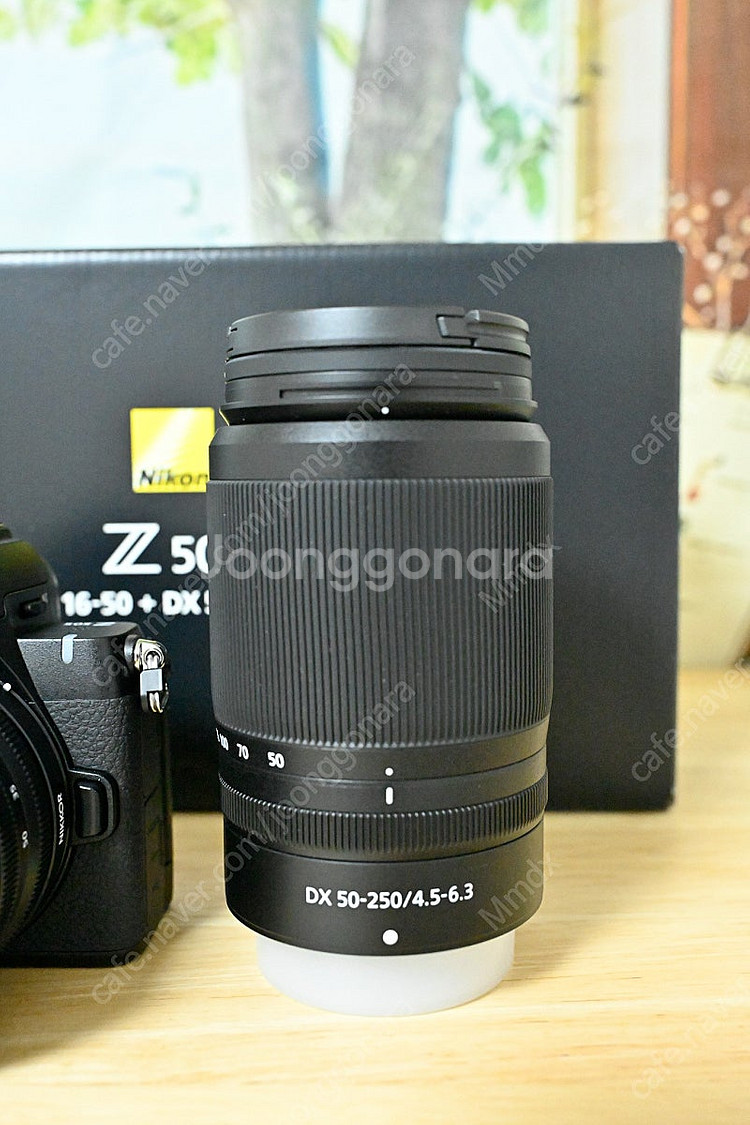니콘 Z50II W ZOOM KIT--4