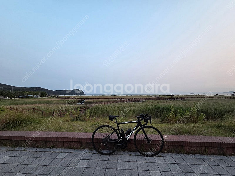 BMC SLR SEVEN 로드 판매--0