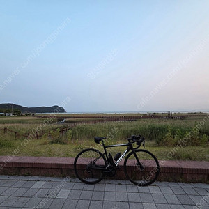 BMC SLR SEVEN 로드 판매