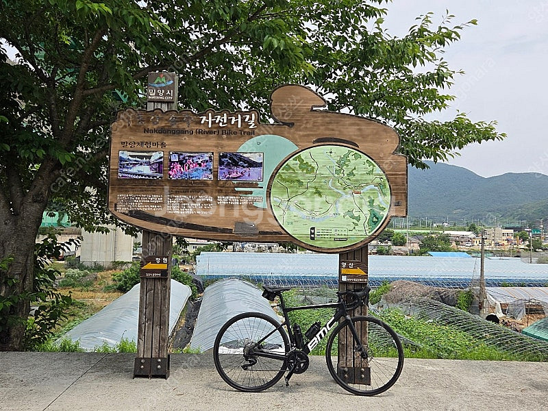 BMC SLR SEVEN 로드 판매--1