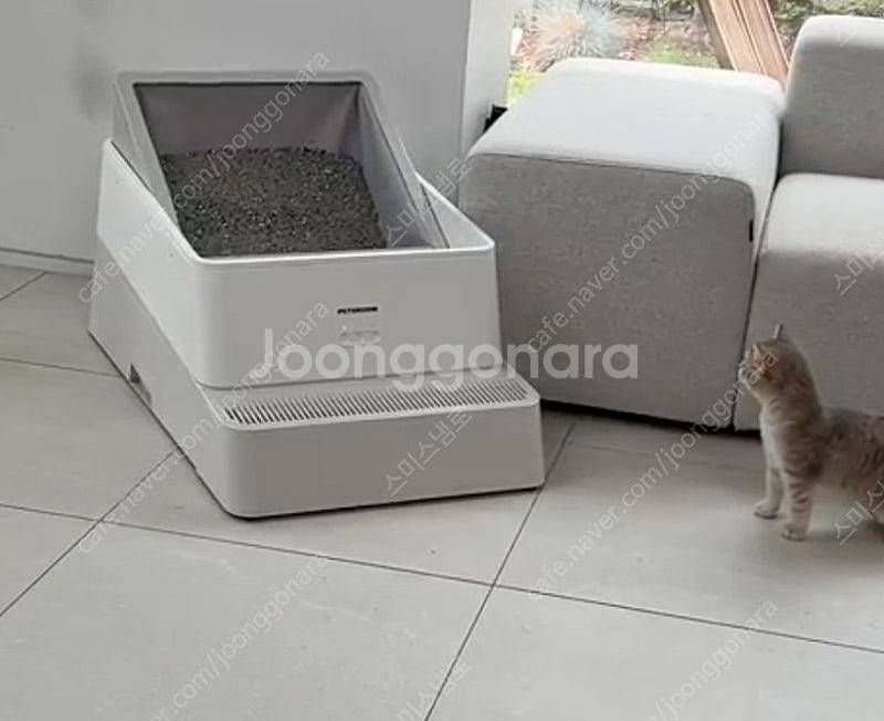 페스룸 루푸 고양이 자동 IOT 화장실 싸게 팔아요!--0