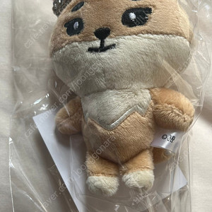 데이식스 백참 (케)