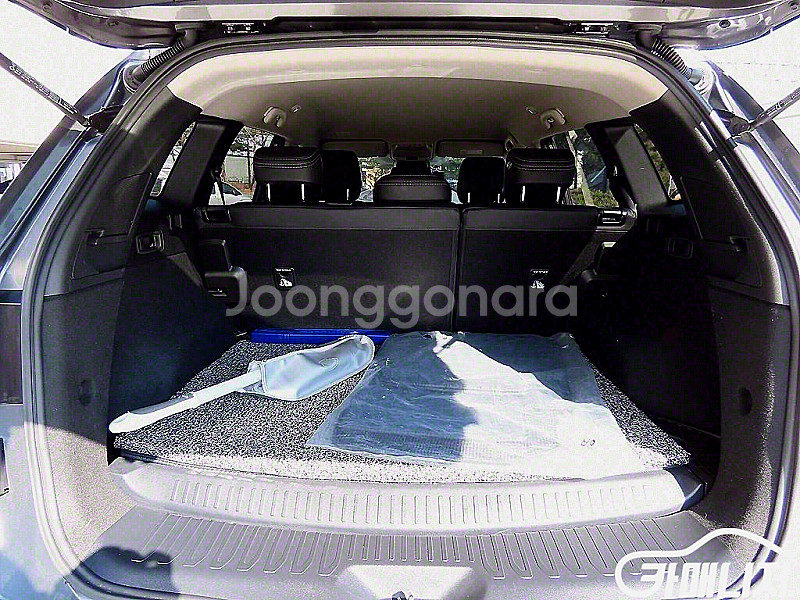 [르노코리아(삼성)]더뉴QM6 2.0 LPe RE 시그...--9
