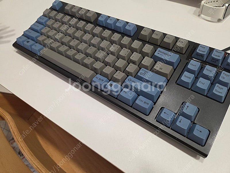 리얼포스 R2 그레이/블루 한글 45g (AHBLK2)--0