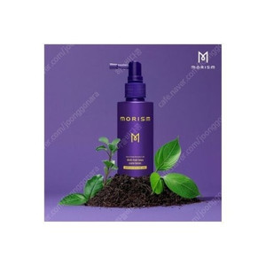 [ 새상품 ] 모리즘 스칼프 헤어토닉 80ml 탈모완화 에센스 영양세럼 ( 모근+두피강화 )