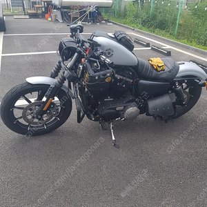 2020년식 할리데이비슨 883 바버스타일 튜닝 급매 이미지