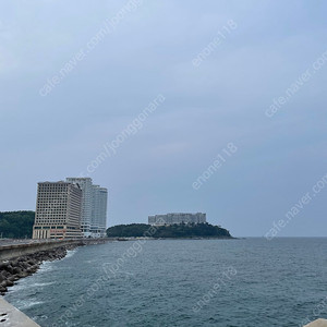 애플워치10 삽니다