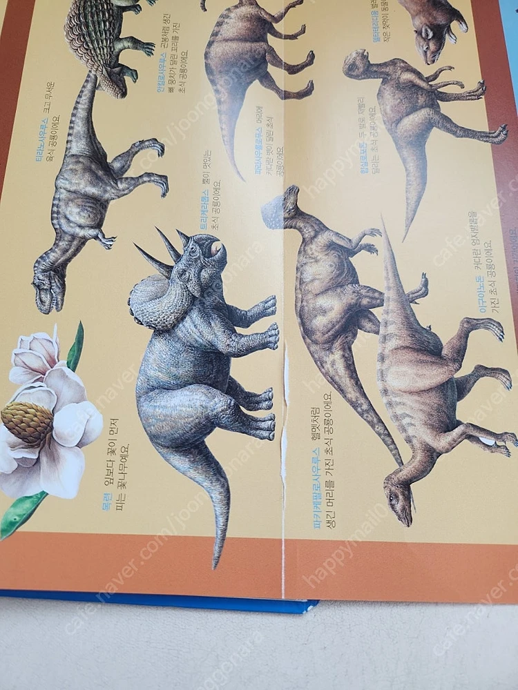 탄탄플러스업 자연속으로 이미지
