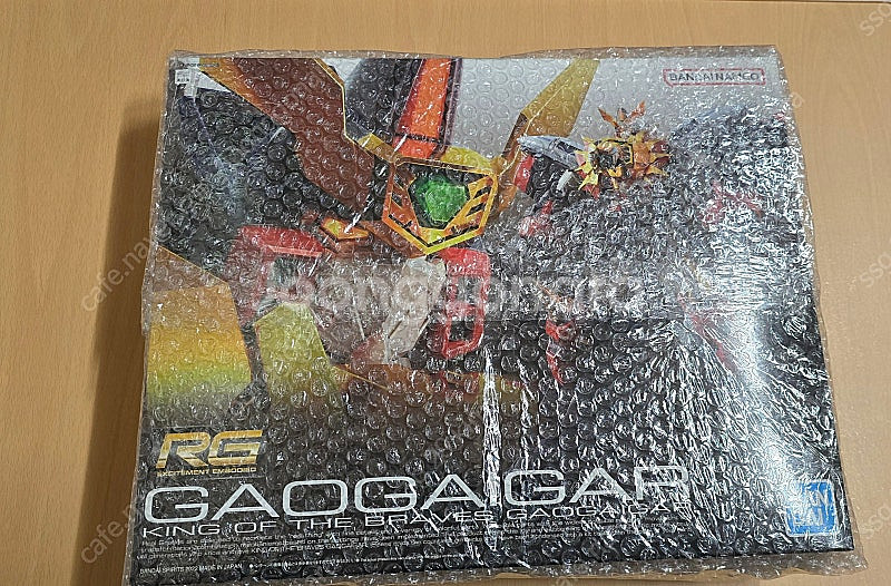 rg가오가이거--2