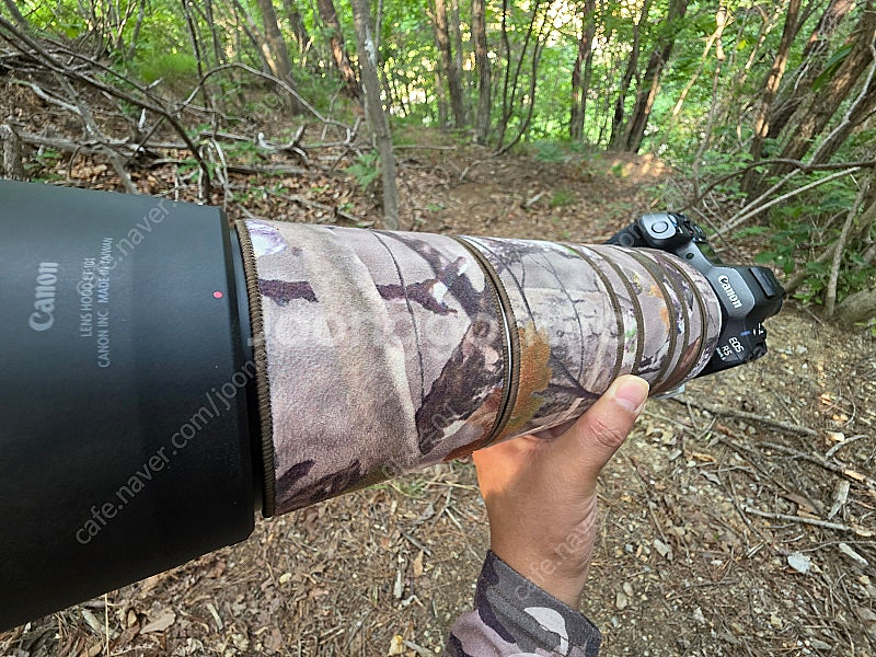 캐논 rf 200-800mm 팝니다. rf200-800...--0