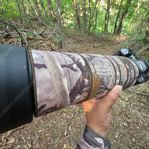 캐논 rf 200-800mm 팝니다. rf200-800 까꿍코트