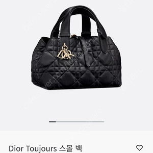 디올 뚜주흐 스몰 토트백