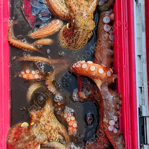 메탈리아에기타코 파손된로드 삽니다 보증서없는거면 더좋아요