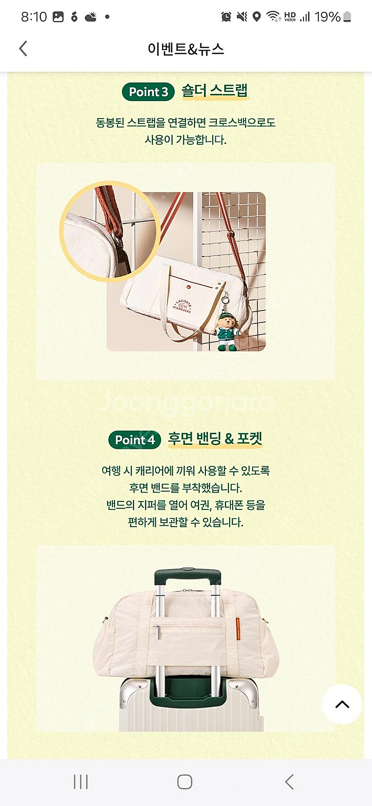 스타벅스 라코스테 멀티플백 (그린색, 아이보리색)--6