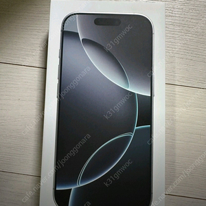 아이폰 16pro 1TB