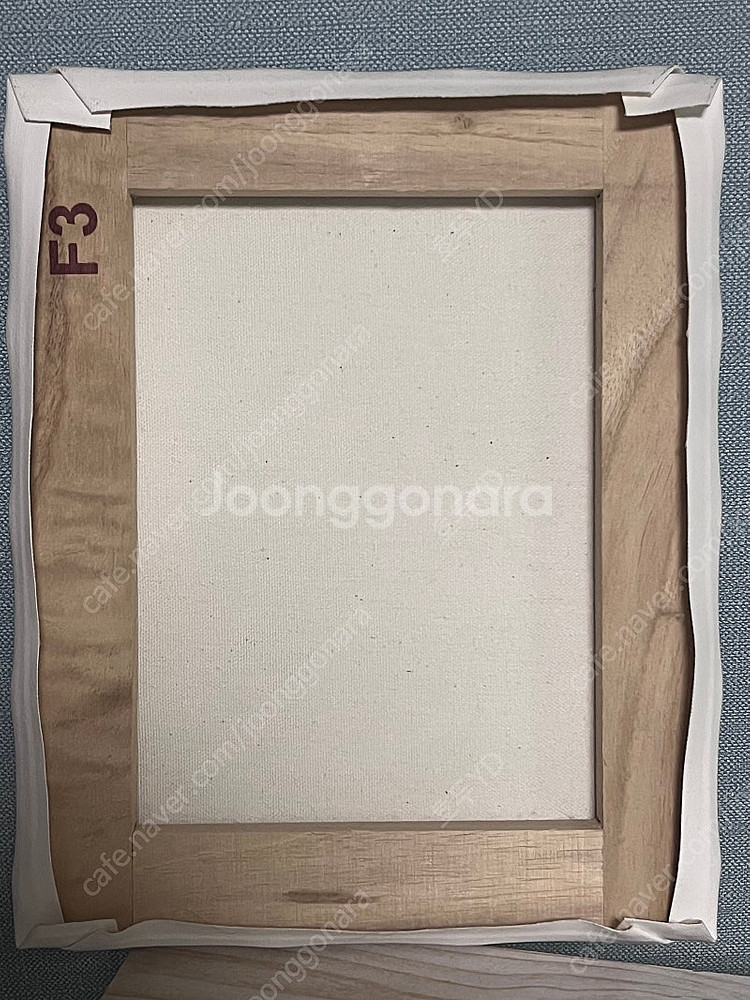 사에카노 카토 메구미 캔버스 그림--1
