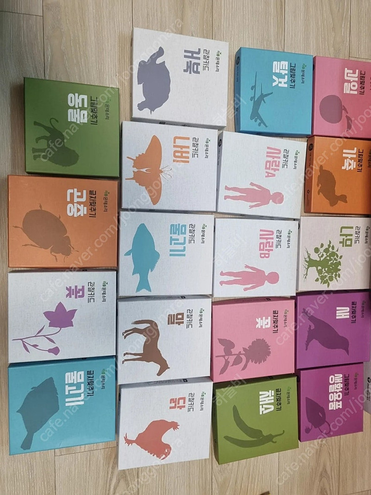 리틀몬테소리 풀세트--9