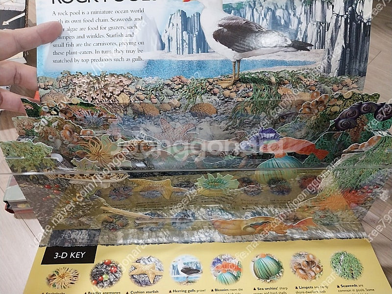 생각의 숲 , 어린이 음악 ,미술 , 우주, 바다 백과...--6