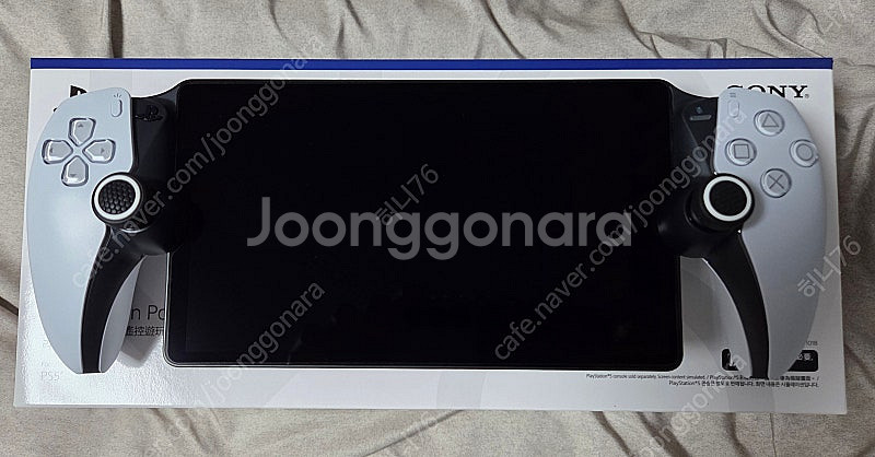[S급]PS5 포탈(정발) , 스컬앤코 케이스, 이이네...--1