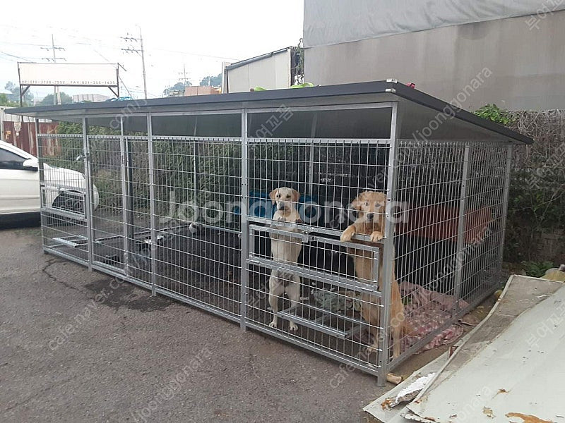 대형견 야외 대형견사 대형견울타리 개집 철장 판매합니다--2