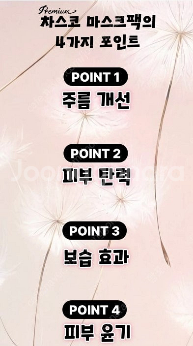 차스코 민들레 마스크팩 1셋(10개)--2