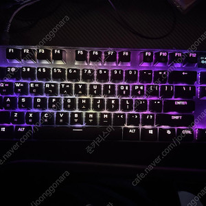 스틸시리즈 apex pro tkl 2023 팝니다