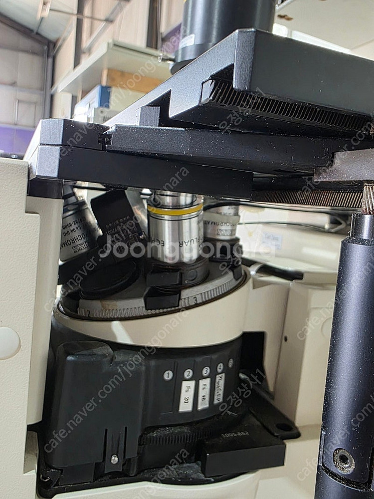 공초점 레이저 주사 현미경 (Carl Zeiss Axi...--5