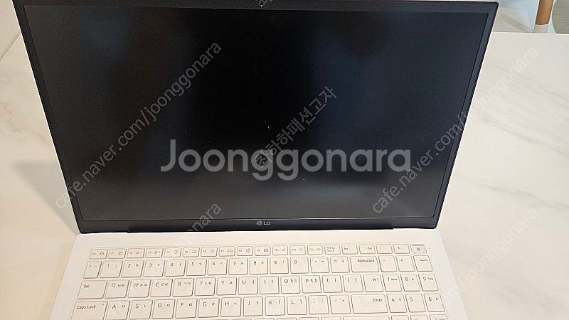 LG 그램 16인치 i5-1335U(15z90ru-ga...--4
